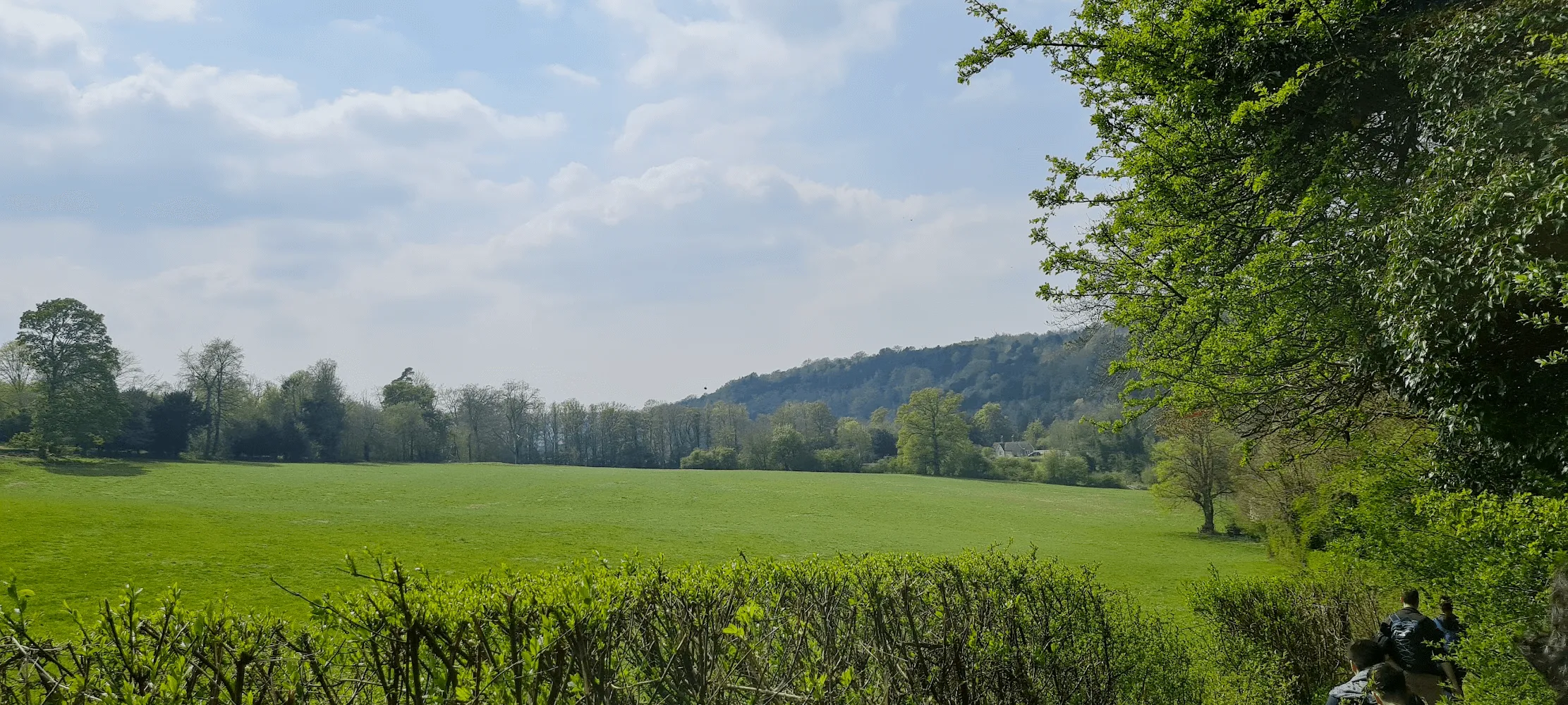 Una vista muy verde en Box Hill