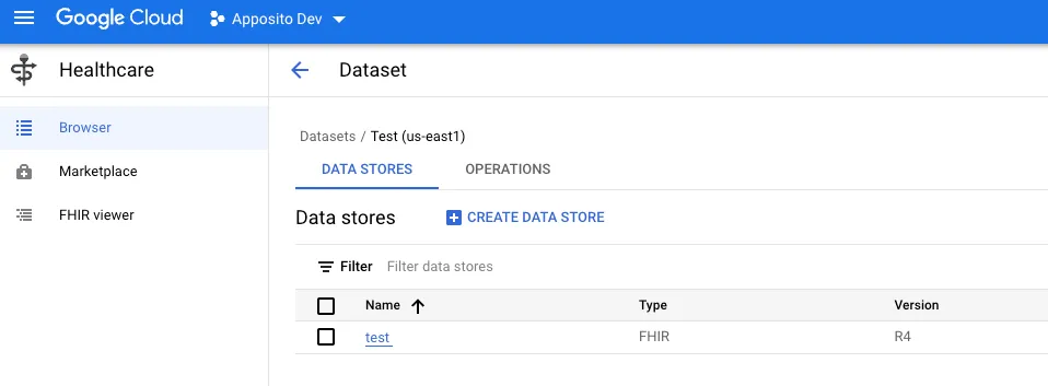 Dataset con la instancia nueva creada