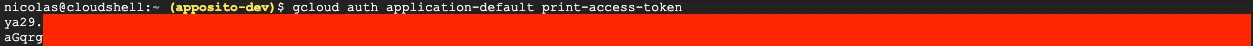 Access token en la Terminal